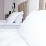 орбелус